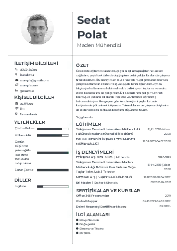 Maden Mühendisi Cv Örnekleri cv indir